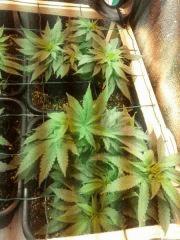 IMG 20120723 102759