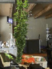 PIC 0557