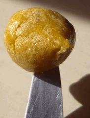 BHO