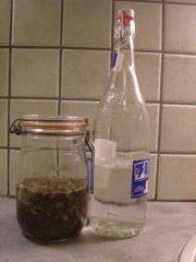 Préparation teinture mère: mise en macération de la weed dans de l'alcool (eau de vie de marc de raison à 87%)