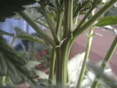 2012 07 30 20.17.42