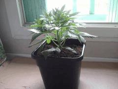 2012 07 30 20.10.21
