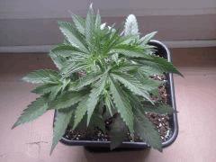 2012 07 30 20.02.10