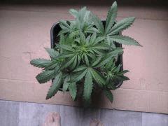 2012 08 02 10.25.25
