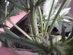 2012 07 30 20.17.29
