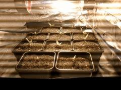 2012 07 18 01.02.52
