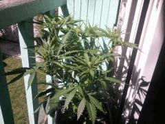 2012 08 07 12.17.35
