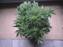 2012 08 02 10.23.28