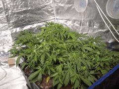 2012 08 02 10.37.59
