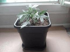 2012 07 30 19.58.22