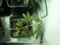 IMG 20120823 195119