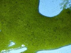 IMG 20120805 010037