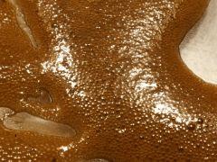 IMG 20120805 010122