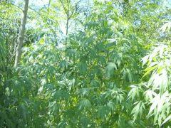 27.08 024 (1024x768)