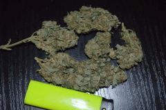 WhiteRhino.