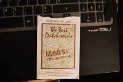 KC Brain Brazil