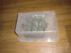 La Box a Bout'z !
