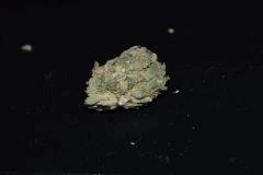 KandyKush From nl.amsterdam2