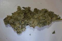 HimalayanGold