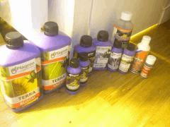 La new collec complete ! :P De la recup...