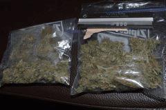 Skunk#1  <2buissons, 3boutures