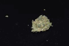 KandyKush From nl.amsterdam