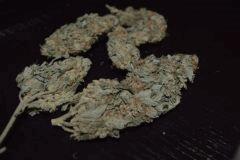 DSC 0119