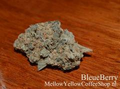 Bleueberry