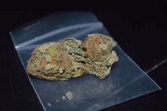 BubleGum Amsterdam NL