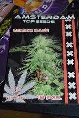 Lemon Haze