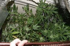Ak48 - MobyDick - Ak48