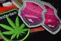Royal Queen - Royal Cheese & Ice