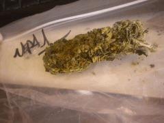 Népa Fin de curing derniere tete!:
