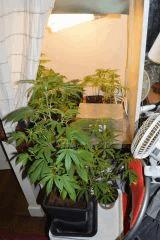 Espace Cro / Bout'z