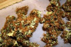 NYD drying 1.0