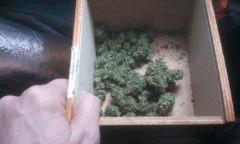 blueberry dutch (3)