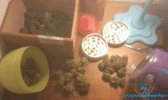 curing