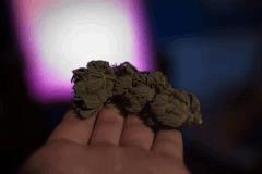 Light effect #1