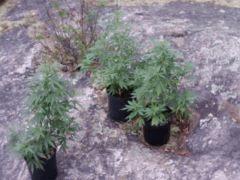 tite fille gros galet 13 aout 2012