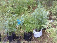 Mes tite cache Ma grosse