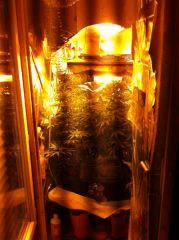 la porte du soleil