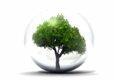 6. environnement Et climat   Copy
