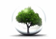 6. environnement Et climat