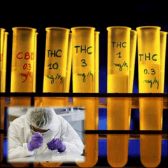 9 science
