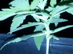 IMG 20120828 205251