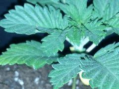 IMG 20120828 202329