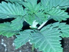 IMG 20120828 202325