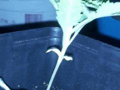 IMG 20120828 202348