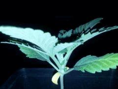IMG 20120828 202609