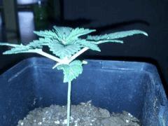 IMG 20120828 202553